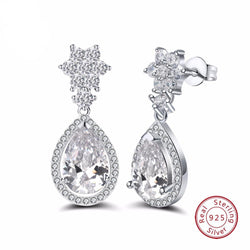 BestBuySale Earrings Women's 925 Sterling Silver Earrings With Zircon Dangle 